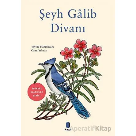 Şeyh Galib Divanı - Kolektif - Kapı Yayınları