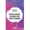 Specific Neural Pathways for Some Situations - Sigmund Freud - Gece Kitaplığı