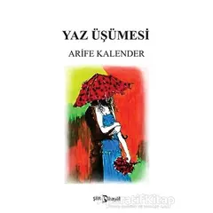 Yaz Üşümesi - Arife Kalender - Hayal Yayınları