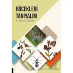 Böcekleri Tanıyalım - A. Faruk Özgür - Akademisyen Kitabevi