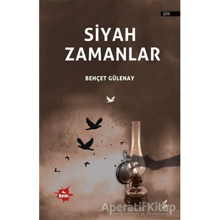 Siyah Zamanlar - Behçet Gülenay - Okur Kitaplığı