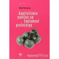 Kapitalizmin Sınırları ve Toplumsal Proletarya - Haluk Yurtsever - Yordam Kitap