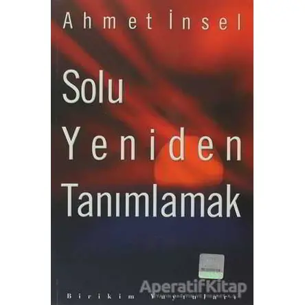 Solu Yeniden Tanımlamak - Ahmet İnsel - Birikim Yayınları