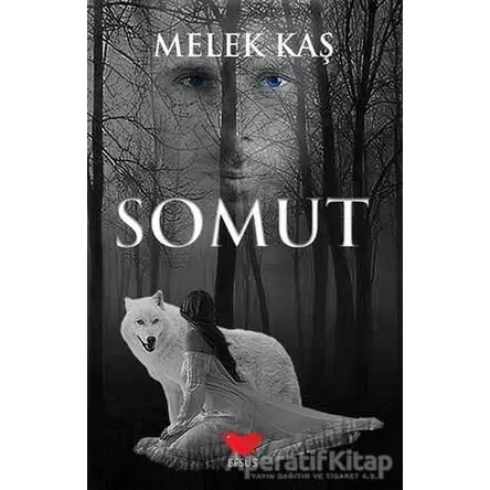 Somut - Melek Kaş - Efsus Yayınları (Kenarı Sararmış)