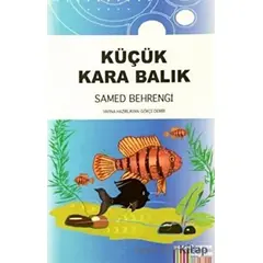 Küçük Kara Balık - Samed Behrengi - Somut Yayınları
