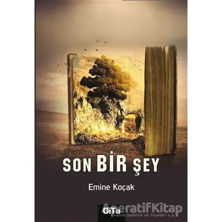 Son Bir Şey - Emine Koçak - Gita Yayınları