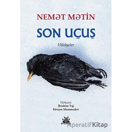 Son Uçuş - Nemet Metin - Artshop Yayıncılık