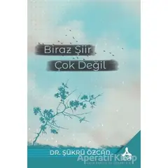 Biraz Şiir Çok Değil - Şükrü Özcan - Sonçağ Yayınları