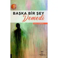 Başka Bir Şey Demedi - Orhan Özdemir - Akademisyen Kitabevi