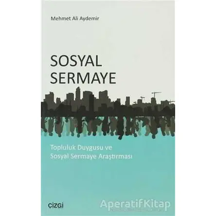 Sosyal Sermaye - Mehmet Ali Aydemir - Çizgi Kitabevi Yayınları