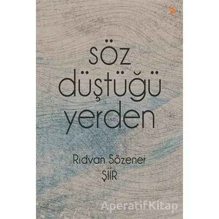 Söz Düştüğü Yerden - Rıdvan Sözener - Cinius Yayınları