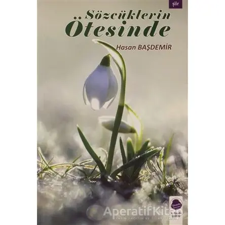 Sözcüklerin Ötesinde - Hasan Başdemir - Sinada Kitap