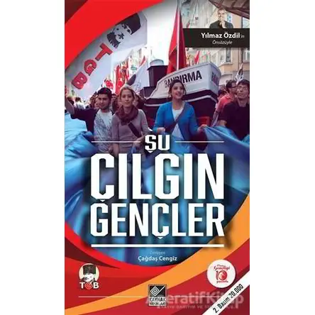 Şu Çılgın Gençler - Çağdaş Cengiz - Kaynak Yayınları