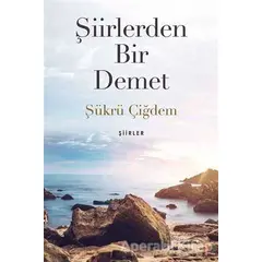 Şiirlerden Bir Demet - Şükrü Çiğdem - Cinius Yayınları