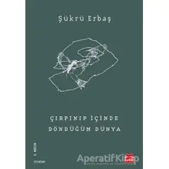 Çırpınıp İçinde Döndüğüm Dünya - Şükrü Erbaş - Kırmızı Kedi Yayınevi