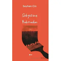 Gökyüzüne Bakmadan - Seyhan Cin - Şule Yayınları