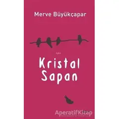 Kristal Sapan - Merve Büyükçapar - Şule Yayınları