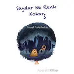 Sayılar Ne Renk Kokar - İsmail Aslanhatun - İki Eylül Yayınevi