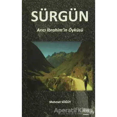 Sürgün - Mehmet Söğüt - Sınırsız Kitap