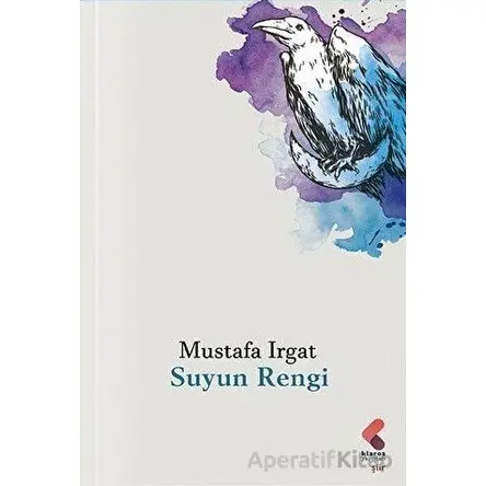 Suyun Rengi - Mustafa Irgat - Klaros Yayınları