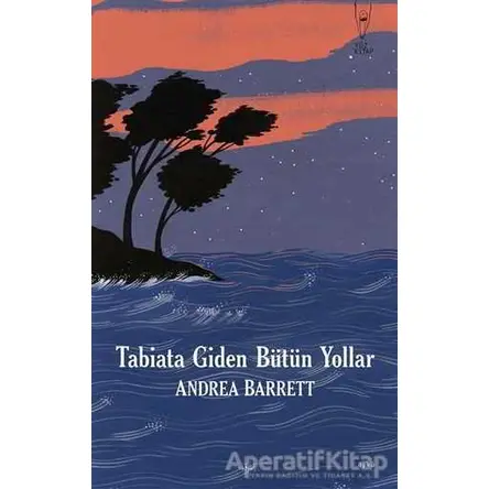 Tabiata Giden Bütün Yollar - Andrea Barrett - Yüz Kitap