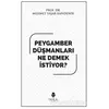 Peygamber Düşmanları Ne Demek İstiyor? - Mehmet Yaşar Kandemir - Tahlil Yayınları