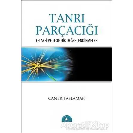 Tanrı Parçacığı - Caner Taslaman - İstanbul Yayınevi