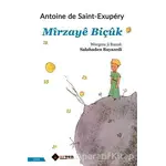 Mirzaye Biçuk - Antoine de Saint-Exupery - Aryen Yayınları