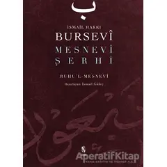 Mesnevi Şerhi - İsmail Hakkı Bursevi - İnsan Yayınları