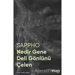 Nedir Gene Deli Gönlünü Çelen - Sappho - Can Yayınları