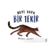 Hepi Topu Bir Tekir - Brendan Wenzel - Taze Kitap