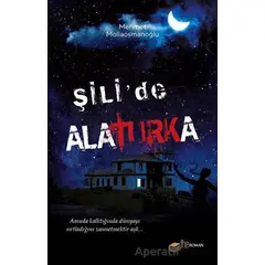 Şili’de Alaturka - Mehmet Mollaosmanoğlu - The Roman