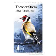 Meşe Ağaçlı Şato - Theodor Storm - İlgi Kültür Sanat Yayınları