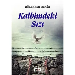 Kalbimdeki Sızı - Mükerrem Demir - Tilki Kitap