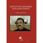 Hayattan Aklımda Kalanın Özeti - Cavlı Çulfaz - Sosyal Tarih Yayınları