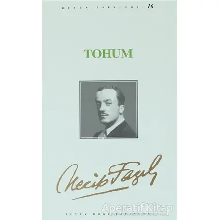 Tohum : 15 - Necip Fazıl Bütün Eserleri - Necip Fazıl Kısakürek - Büyük Doğu Yayınları