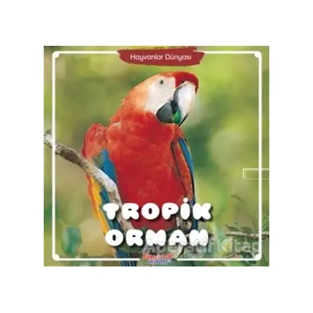 Tropik Orman - Hayvanlar Dünyası - Kolektif - Yumurcak Yayınları