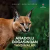 Anadolu Doğasından Yansımalar - Bülent Gözcelioğlu - TÜBİTAK Yayınları