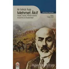 Bir İstiklal Aşığı Mehmet Akif - Turgay Anar - DBY Yayınları