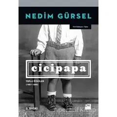 Cicipapa - Nedim Gürsel - Doğan Kitap