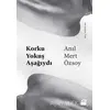 Korku Yokuş Aşağıydı - Anıl Mert Özsoy - Doğan Kitap