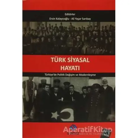 Türk Siyasal Hayatı - Ali Yaşar Sarıbay - Sentez Yayınları