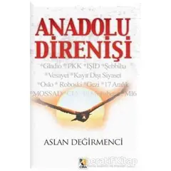 Anadolu Direnişi - Aslan Değirmenci - Çıra Yayınları