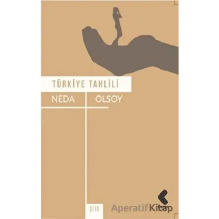 Türkiye Tahlili - Neda Olsoy - Klaros Yayınları