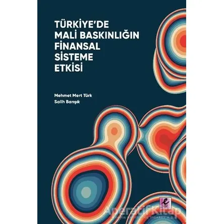 Türkiye’de Mali Baskınlığın Finansal Sisteme Etkisi - Salih Barışık - Efil Yayınevi