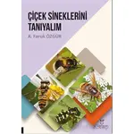 Çiçek Sineklerini Tanıyalım - A. Faruk Özgür - Akademisyen Kitabevi