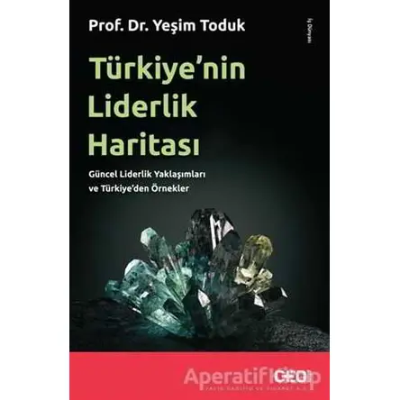 Türkiye’nin Liderlik Haritası - Yeşim Toduk - CEO Plus