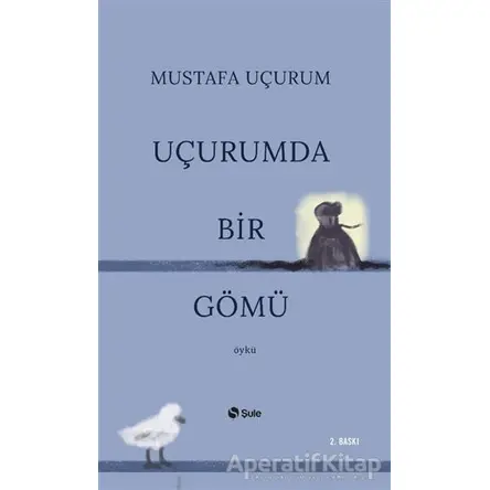 Uçurumda Bir Gömü - Mustafa Uçurum - Şule Yayınları