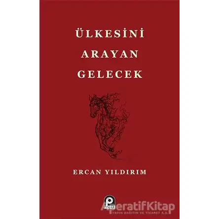 Ülkesini Arayan Gelecek - Ercan Yıldırım - Pınar Yayınları