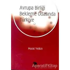 Avrupa Birliği Bekleme Odasında Türkiye - Murat Yetkin - İmge Kitabevi Yayınları